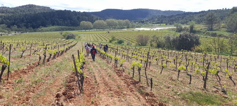 Marche: 16 avril 2024 – Boucle Agel 