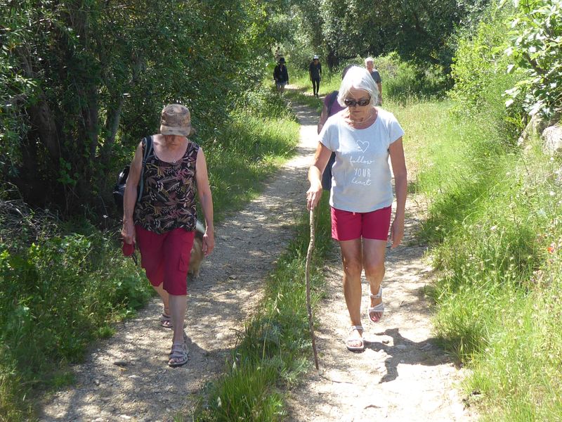 Marche: mardi 28 mai 2024 – Aller-retour Aigues-Vives La Caunette