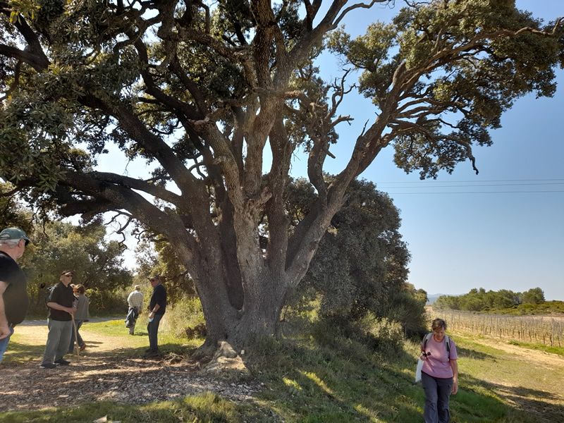 Marche: 30 mars 2021 – Aigne