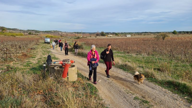 Marche: 12 décembre 2023 – Boucle Argeliers – Bize par le Portel