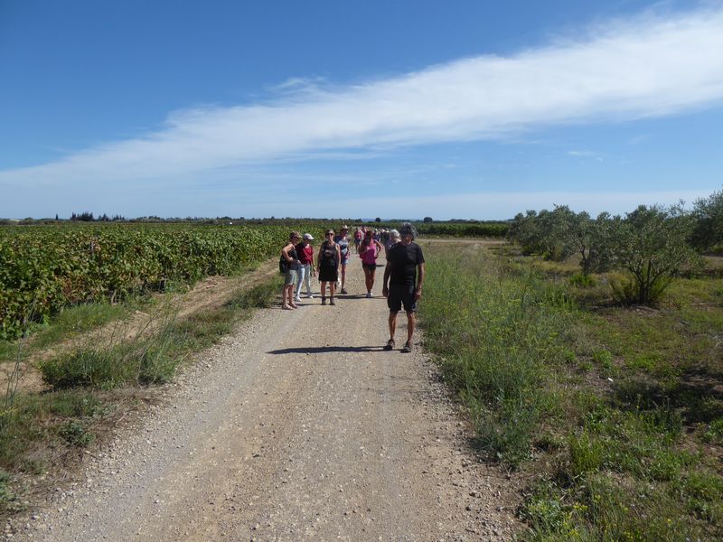 Marche: 19 septembre 2023 – Balade vers Argeliers par le col du Portel 