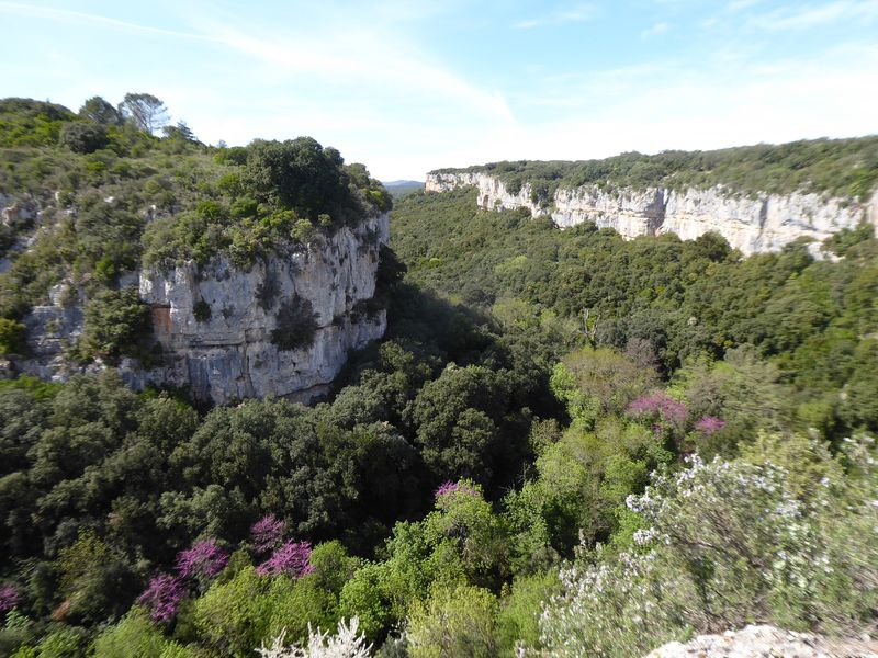 Marche: 11 avril 2023 – Boucle Barroubio