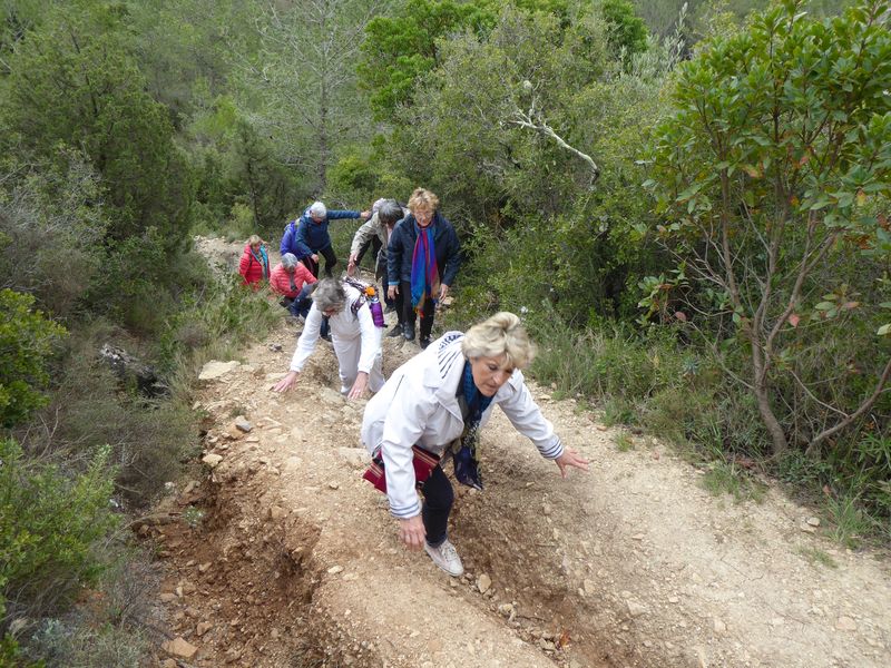 Marche: 29 mars 2022 – Boucle Le Bout du Monde – Montplo le Haut