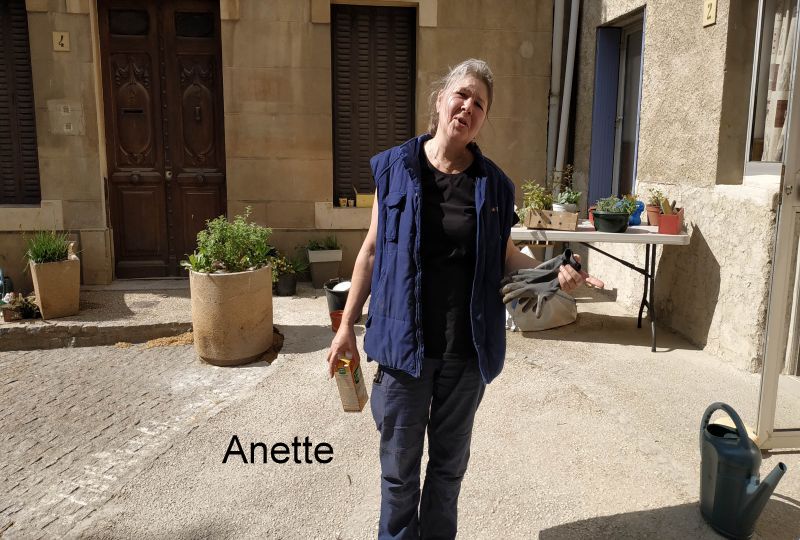 BizBizFleurs avril 2021