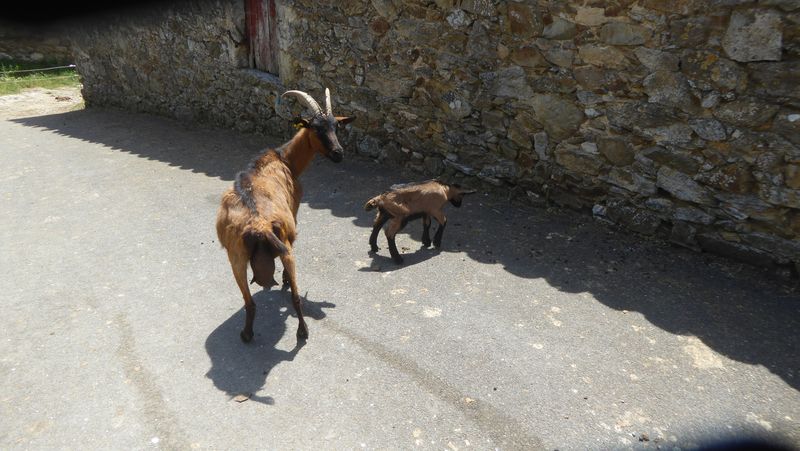 Dimanche 30 mai 2021 – Boisset Vieulac