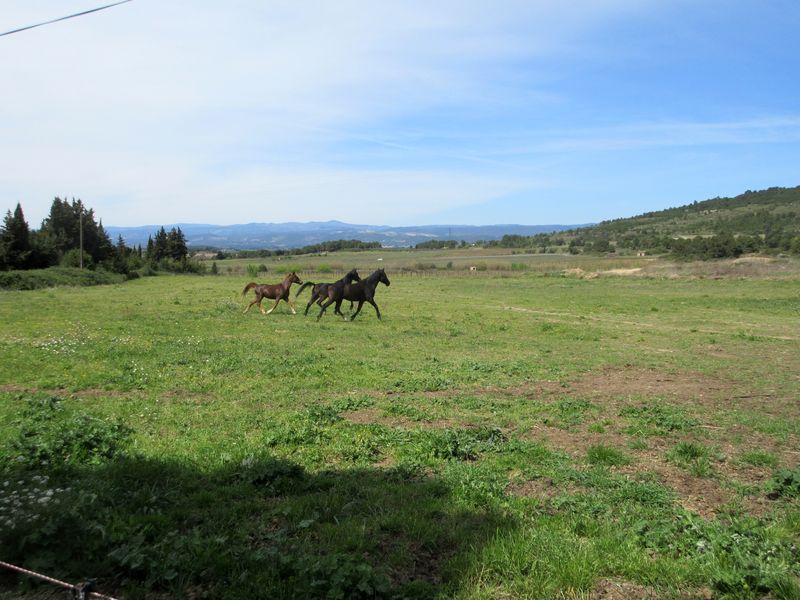 Marche: 13 avril 2021 – Plateau de la Bouscade