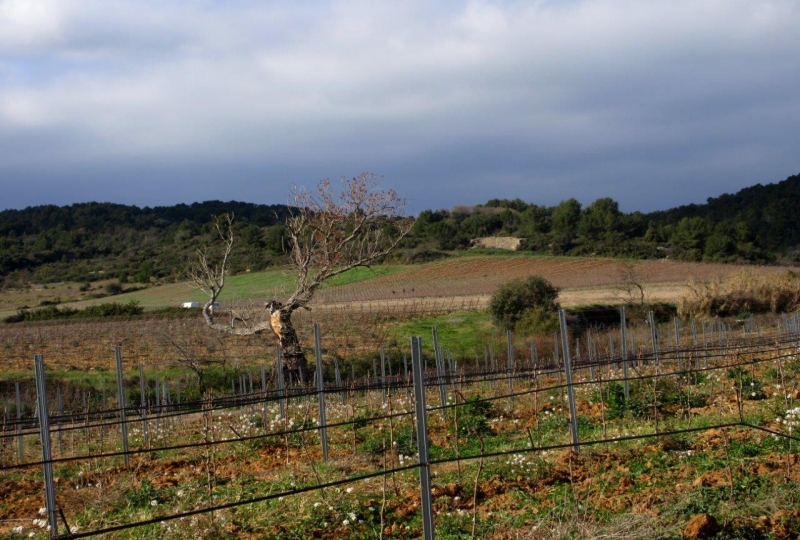 Marche: 25 février 2020 – Cailhol