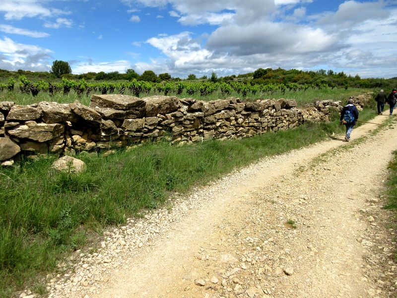 Marche: 11 mai 2021 – Aux alentours de Cazelles et Paguignan