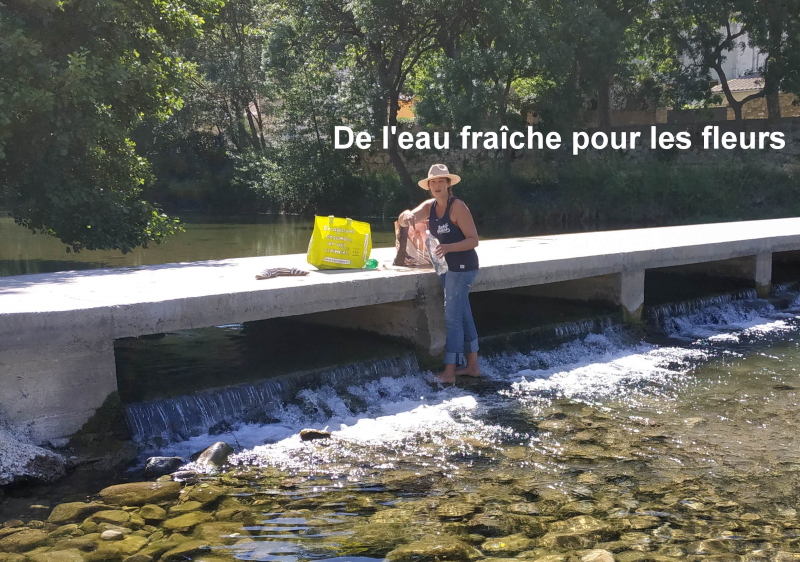 BizBizFleurs printemps 2021