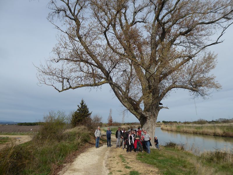 Marche: 21 mars 2023 – Boucle vers Ginestas 