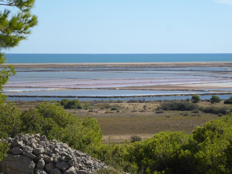 29 septembre 2024 – Boucle de Gruissan