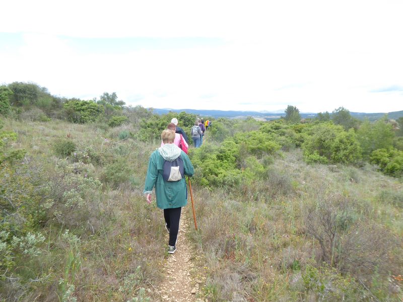 Marche: 25 avril 2023 – Boucle Eoliennes de Mailhac