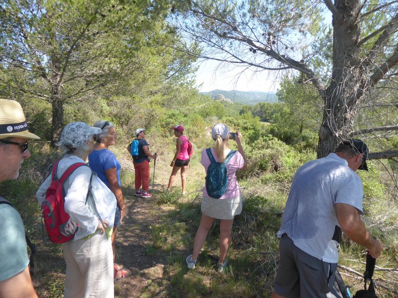 Marche: 25 juin 2024 – Boucle Boussecos – Roumigous