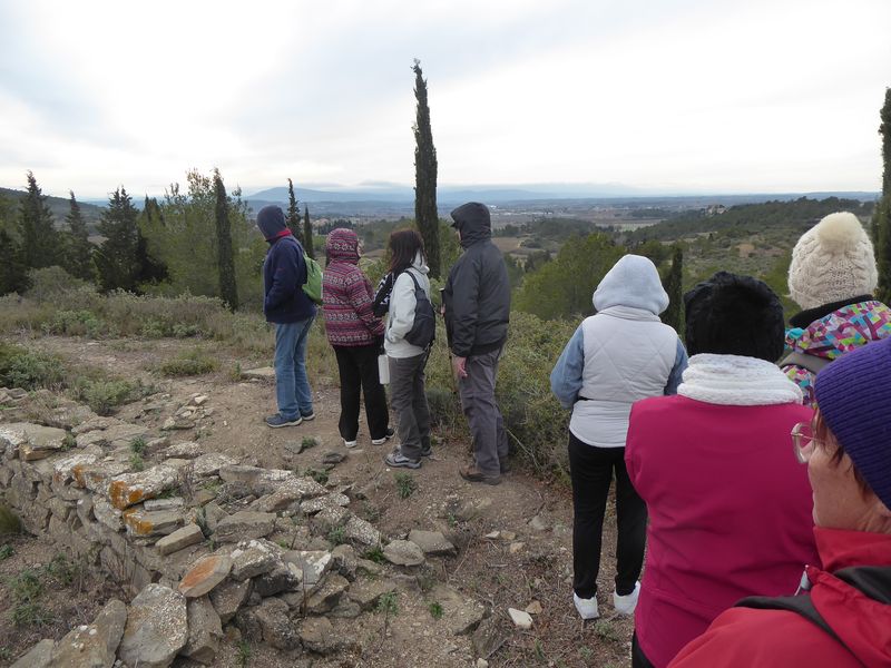 Marche: 6 février 2024 – Boucle Entre Mailhac et Oupia