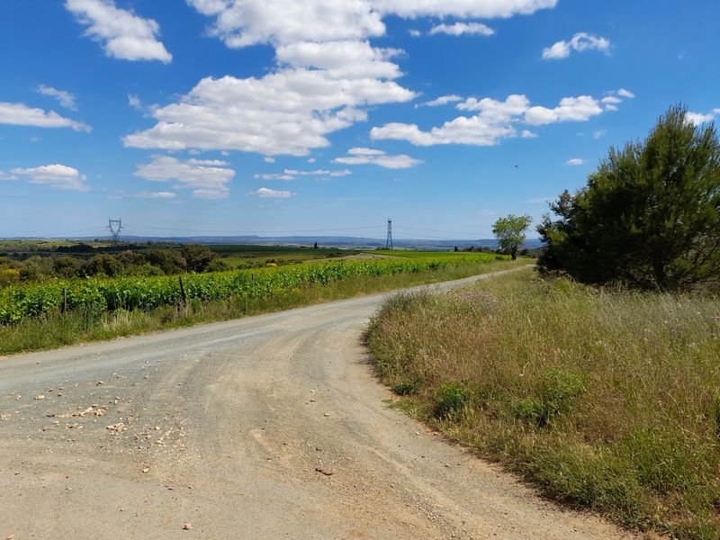 8 juin 2021 – Aux alentours de Montouliers et Montplo