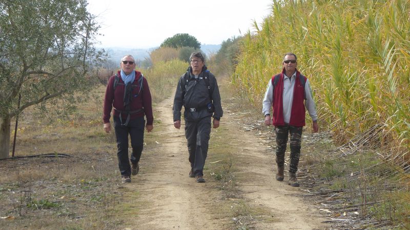 Dimanche 21 novembre 2021 – Ouveillan – Fontcalvy