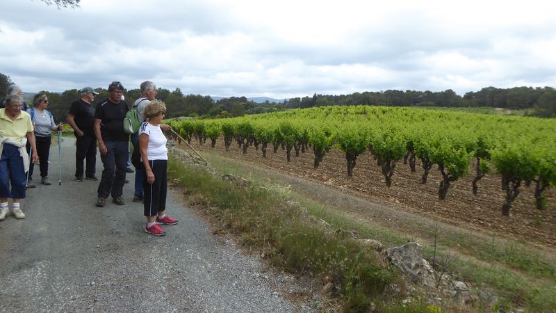 Marche: 1er juin 2021 – Boucle au départ de Paguignan