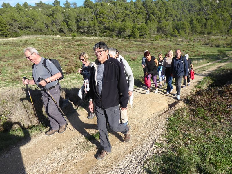 Marche: 7 novembre 2023 2023 – Boucle Pratlong par le Roumigous 