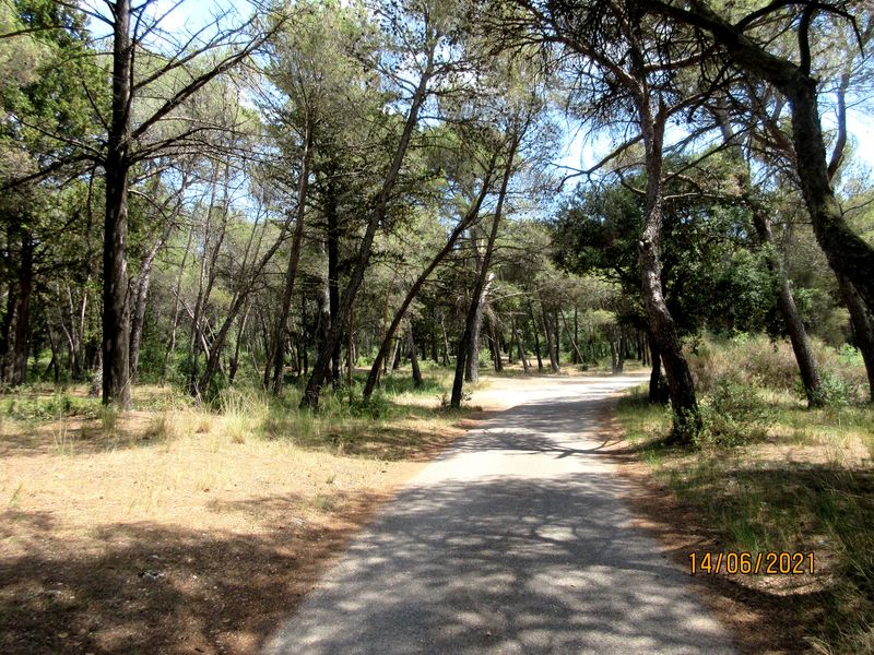 Marche: 14 juin 2021 – Boucle Montouliers Sériège Mont Redon