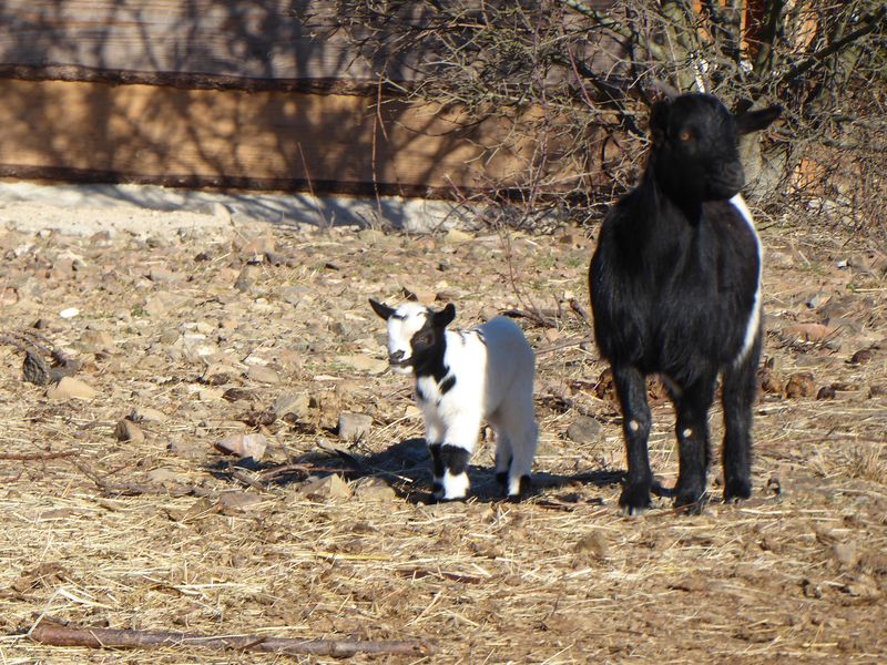 Marche: 8 février 2022 – Boucle Ste-Valière