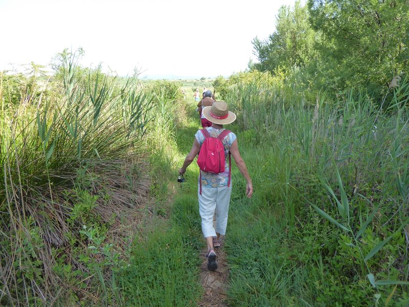 Marche: 14 juin 2022 – Tour du lac de Jouarres