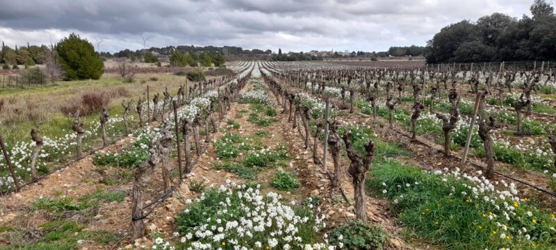 Marche mardi 11/02/2025     Ste Valière