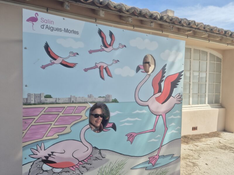 Journée à Aigues-Mortes
