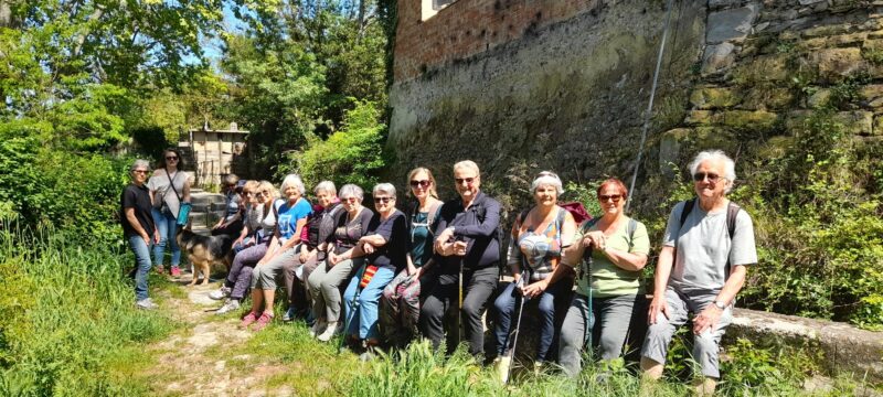 MARCHE  MARDI  29/04/2025         MIREPEISSET