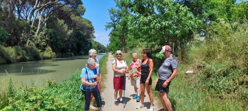 Marche Mardi  03/06/2025       Canal  Sallèles