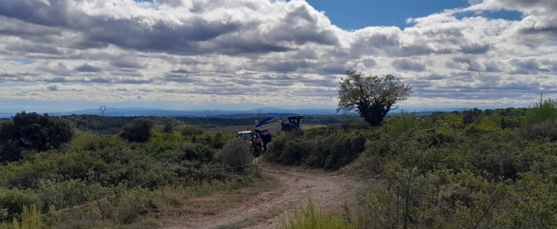 Mardi  23/09/2025    Cazedarne :   puech de la Vigne Nègre
