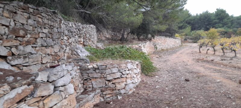 Mardi  04/11/2025      Marche Pech   Bize