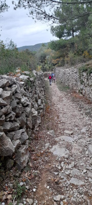 Mardi  11    Novembre    2025    Marche  Bize