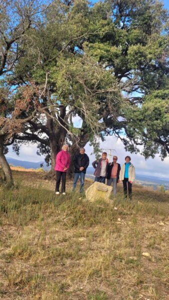 Marche     Mardi    02/12/2025         AIGNE