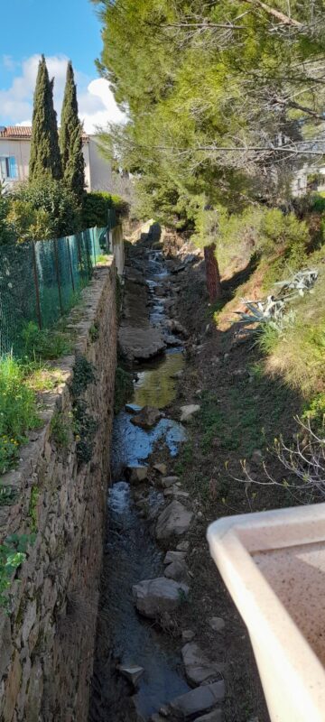 Marche    MARDI  10  MARS   BIZE