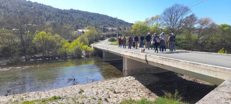 Mardi   17/03/2026      AGEL