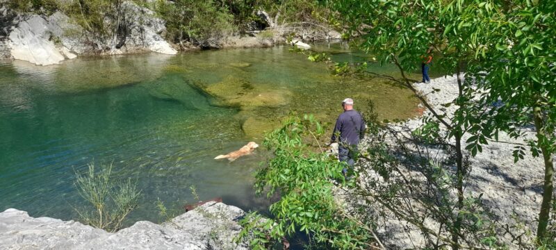 Mardi  07  / 04  /2026       Marche Bize